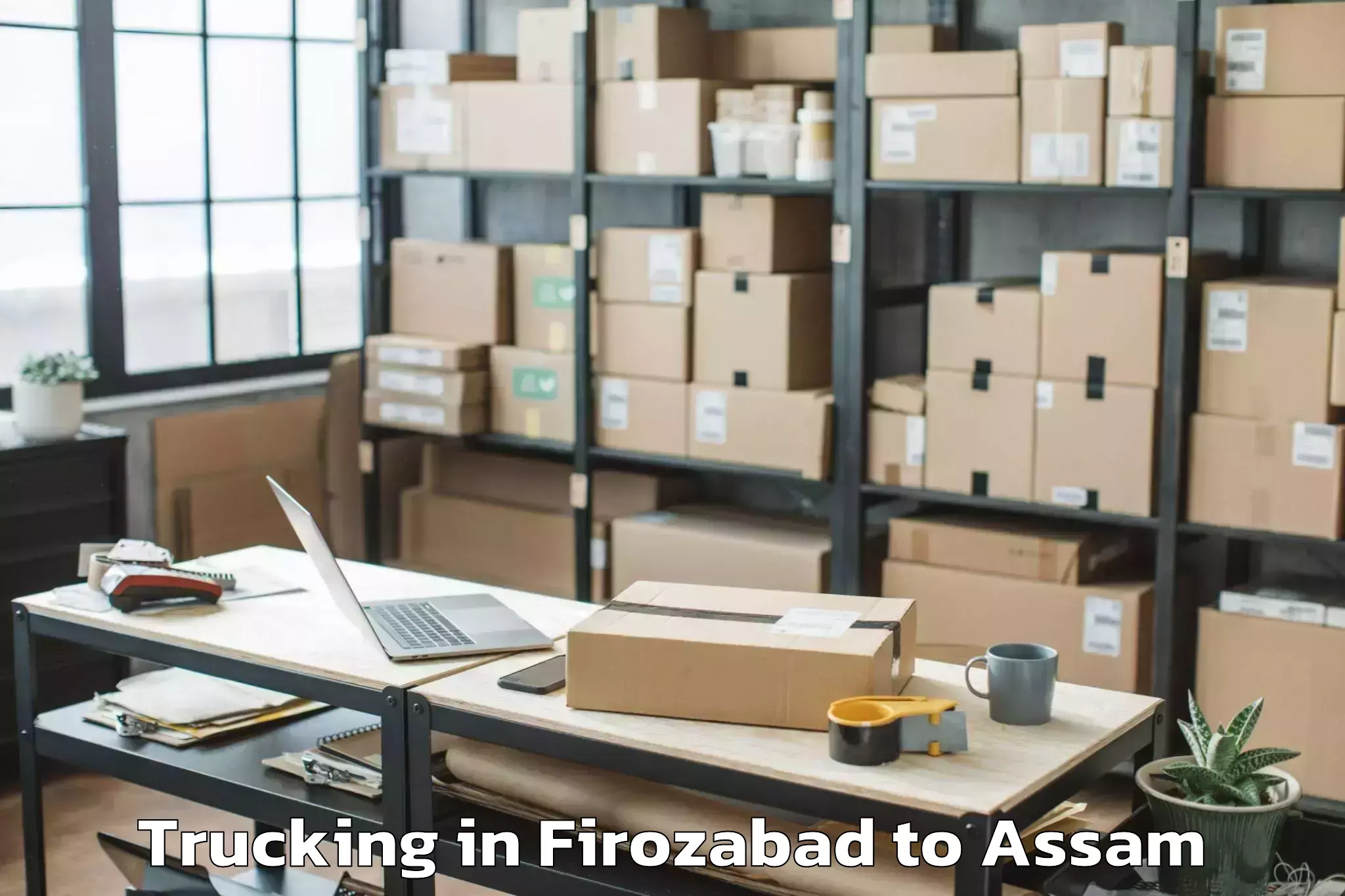 Hassle-Free Firozabad to Pathsala Trucking